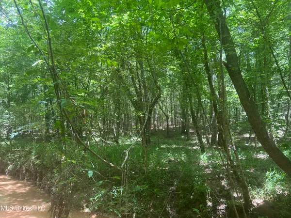 $68,900 | Church Road, Shubuta, MS 39360
