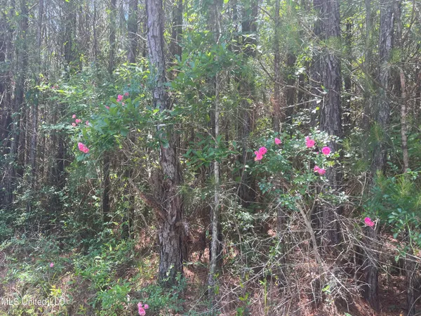 $68,900 | Church Road, Shubuta, MS 39360
