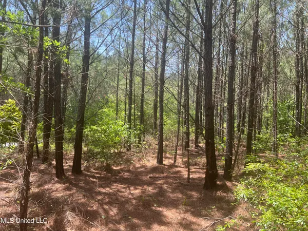 $68,900 | Church Road, Shubuta, MS 39360