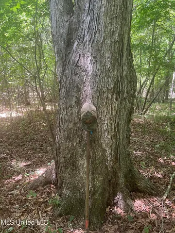 $68,900 | Church Road, Shubuta, MS 39360