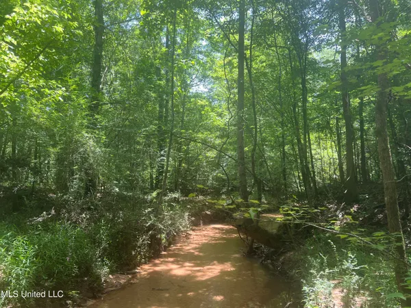 $68,900 | Church Road, Shubuta, MS 39360