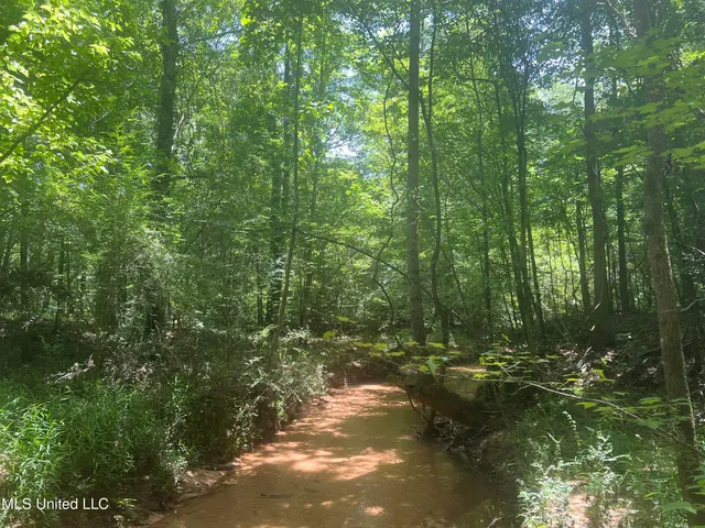 $68,900 | Church Road, Shubuta, MS 39360