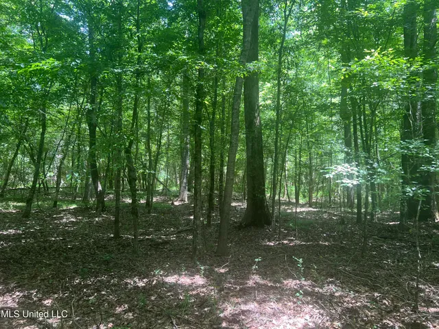 $68,900 | Church Road, Shubuta, MS 39360