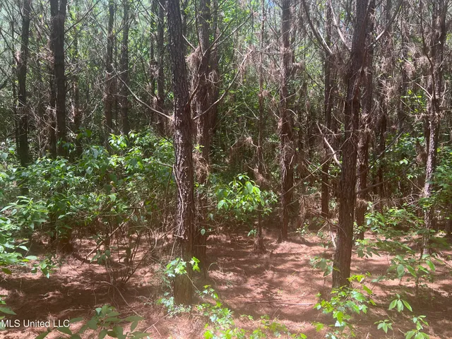 $68,900 | Church Road, Shubuta, MS 39360