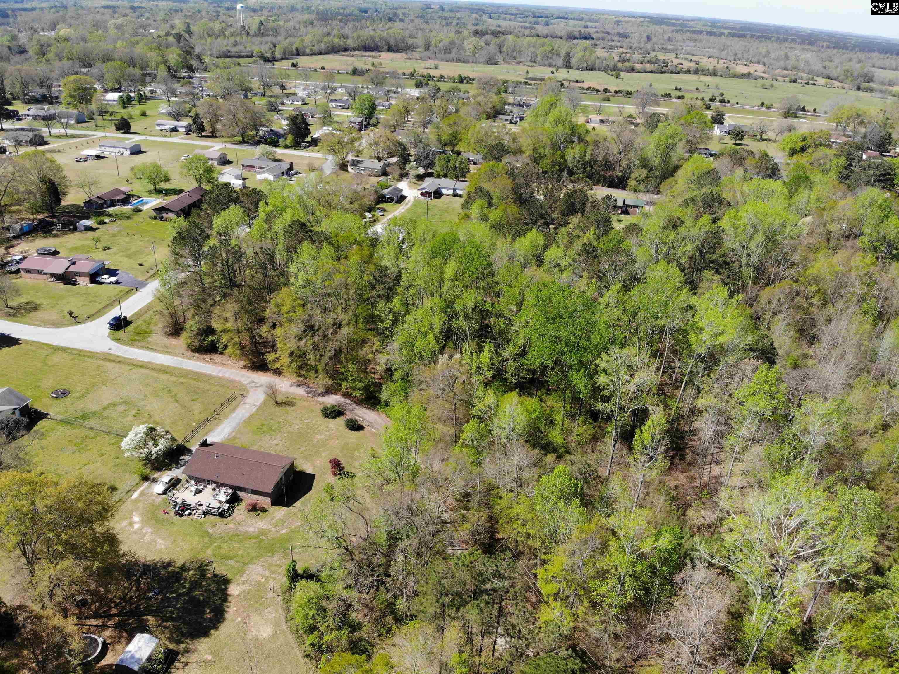 Tbd James Road Joanna, SC 29351 - Photo 66 of 82