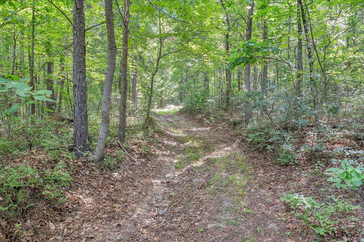 805 Summit Drive Covington, VA 24426 - Photo 53 of 70 53-MIB08006