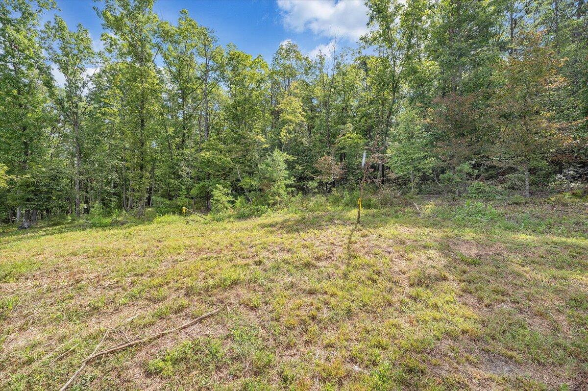 805 Summit Drive Covington, VA 24426 - Photo 55 of 70 55-MIB08012