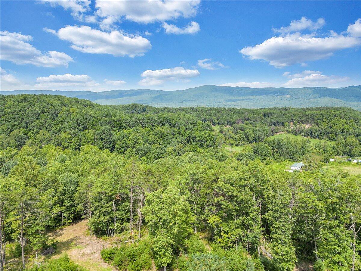 805 Summit Drive Covington, VA 24426 - Photo 56 of 70 56-DJI_0158