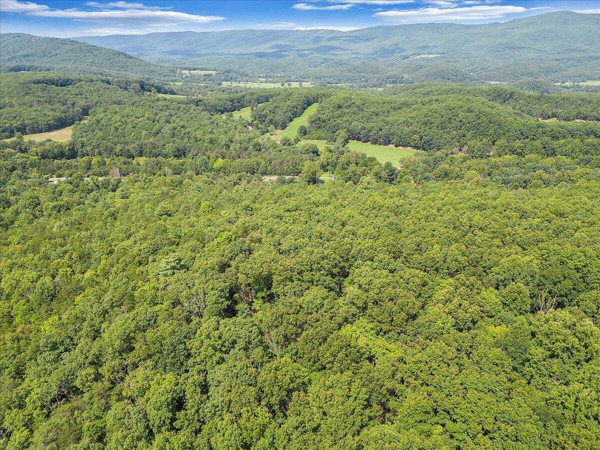 805 Summit Drive Covington, VA 24426 - Photo 61 of 70 61-DJI_0169