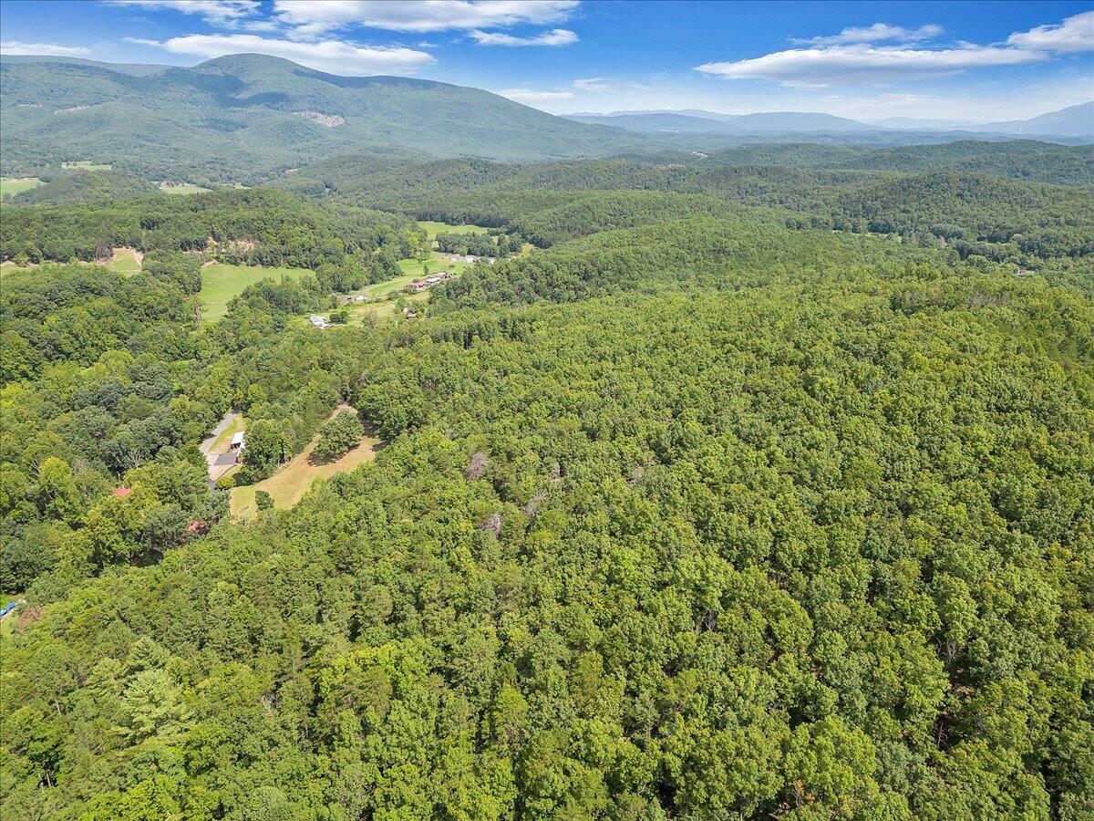 805 Summit Drive Covington, VA 24426 - Photo 62 of 70 62-DJI_0170