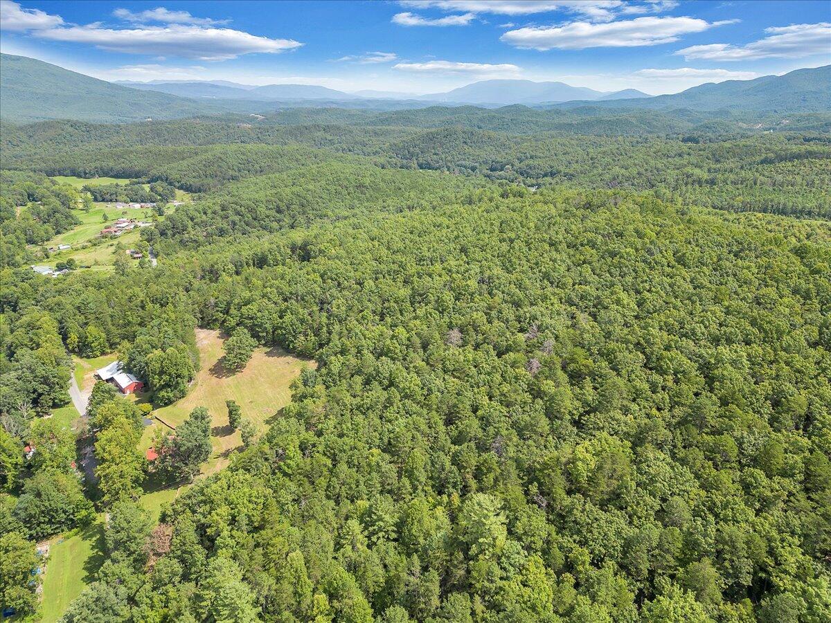 805 Summit Drive Covington, VA 24426 - Photo 63 of 70 63-DJI_0171