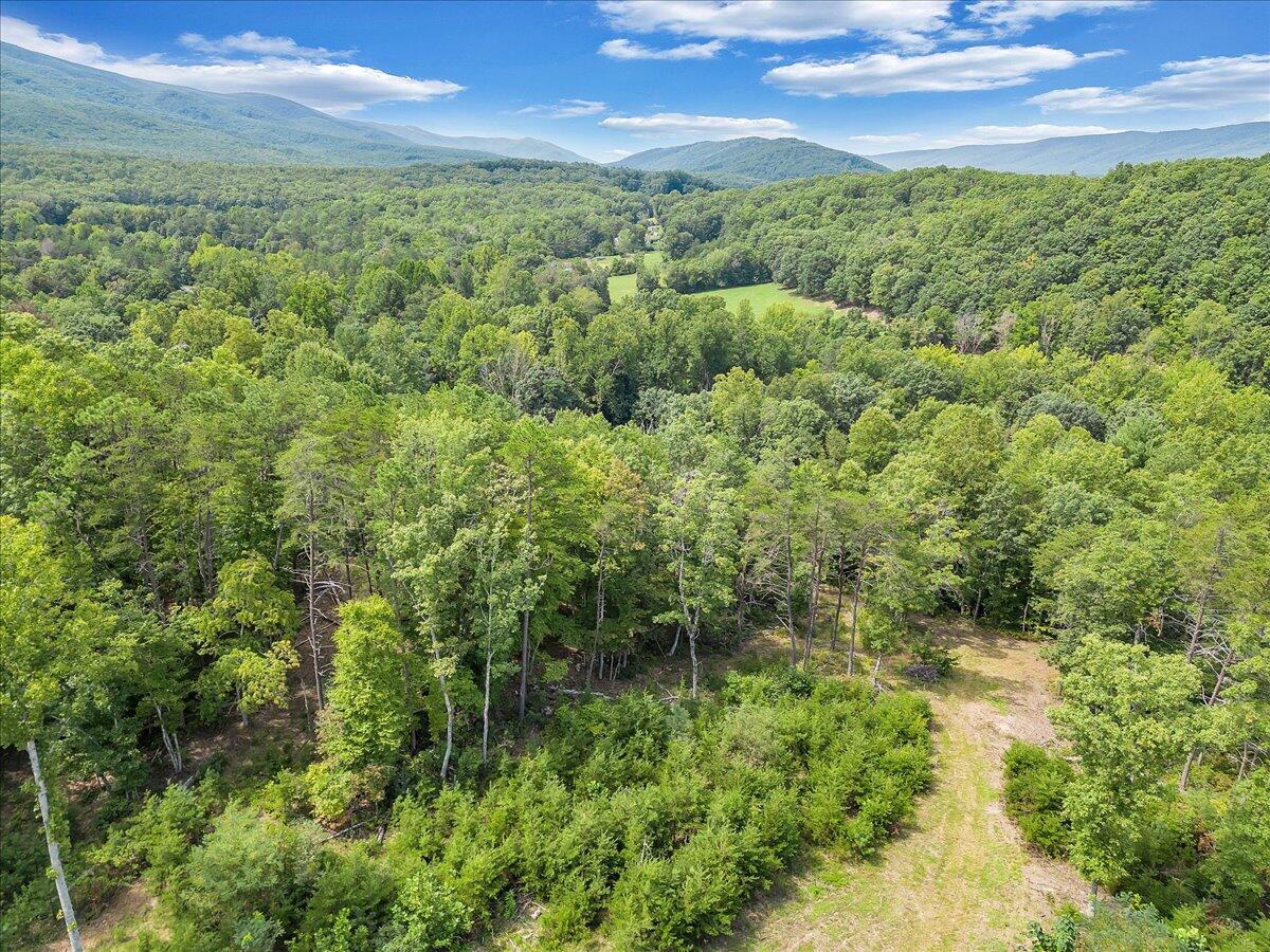 805 Summit Drive Covington, VA 24426 - Photo 65 of 70 65-DJI_0174