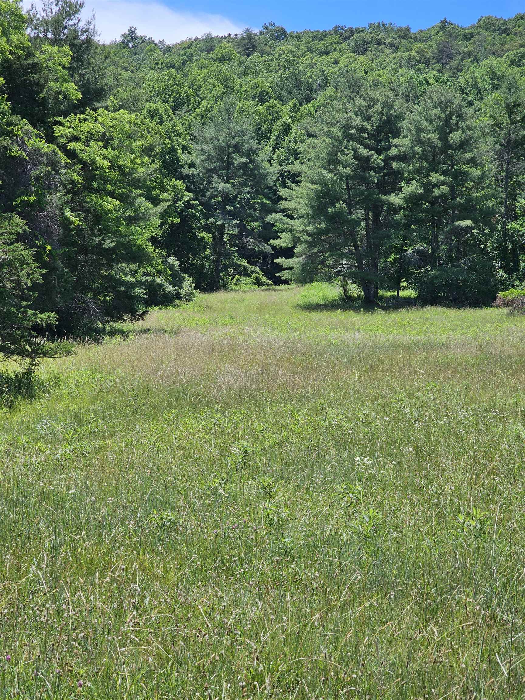 2105 Coles Mountain Road Covington, VA 24426 - Photo 48 of 66