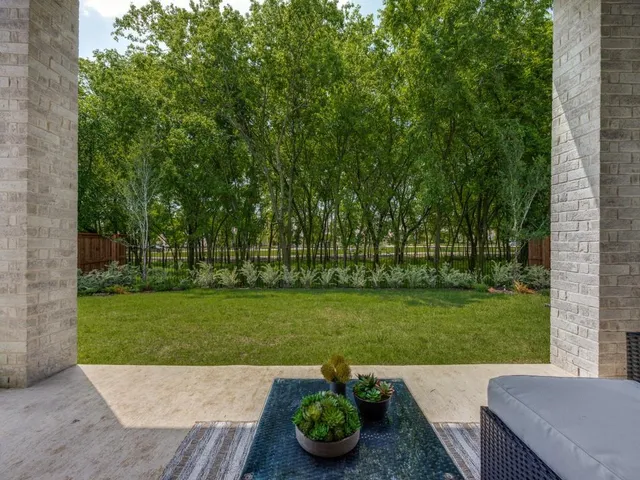 a view of a backyard with plants and a garden