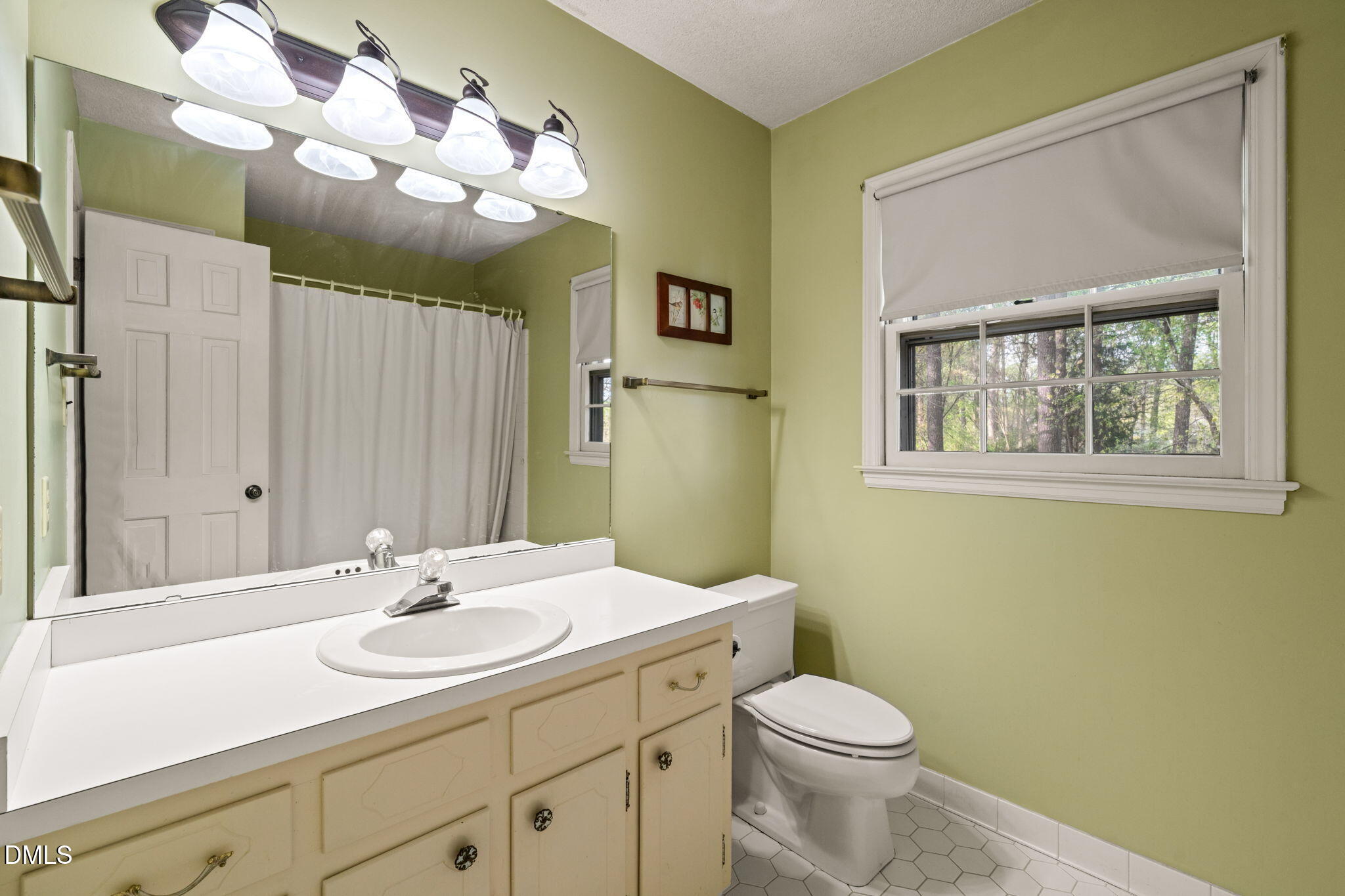 6115 Winthrop Drive Raleigh, NC 27612 - Photo 30 of 41 a bathroom with a sink a toilet and mirror