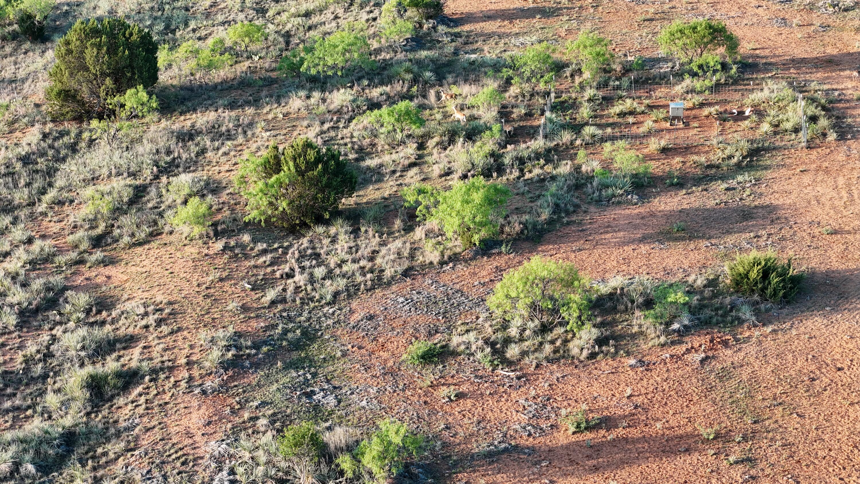 92 Texas Hamlin, TX 79520 - Photo 23 of 63 DJI_20260528073131_0103_D