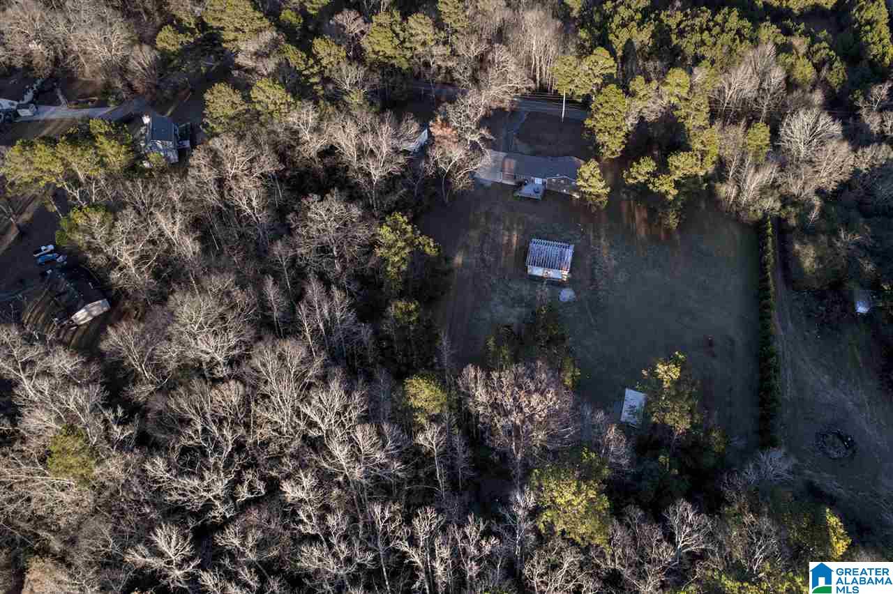 162 Highway 433 Chelsea, AL 35043 - Photo 37 of 38