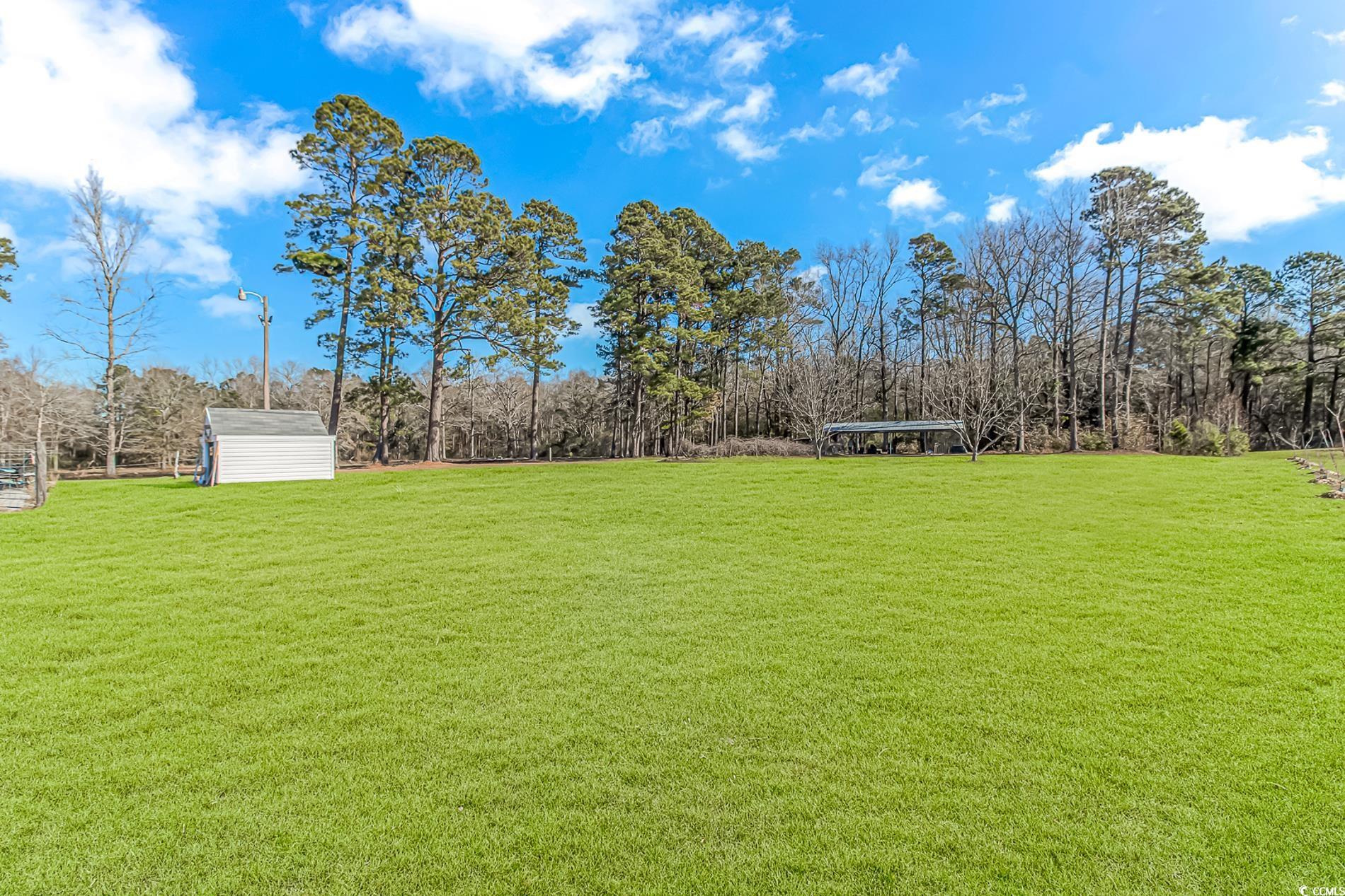 4106 Edwards Road Aynor, SC 29511 - Photo 28 of 39 View of yard featuring a shed