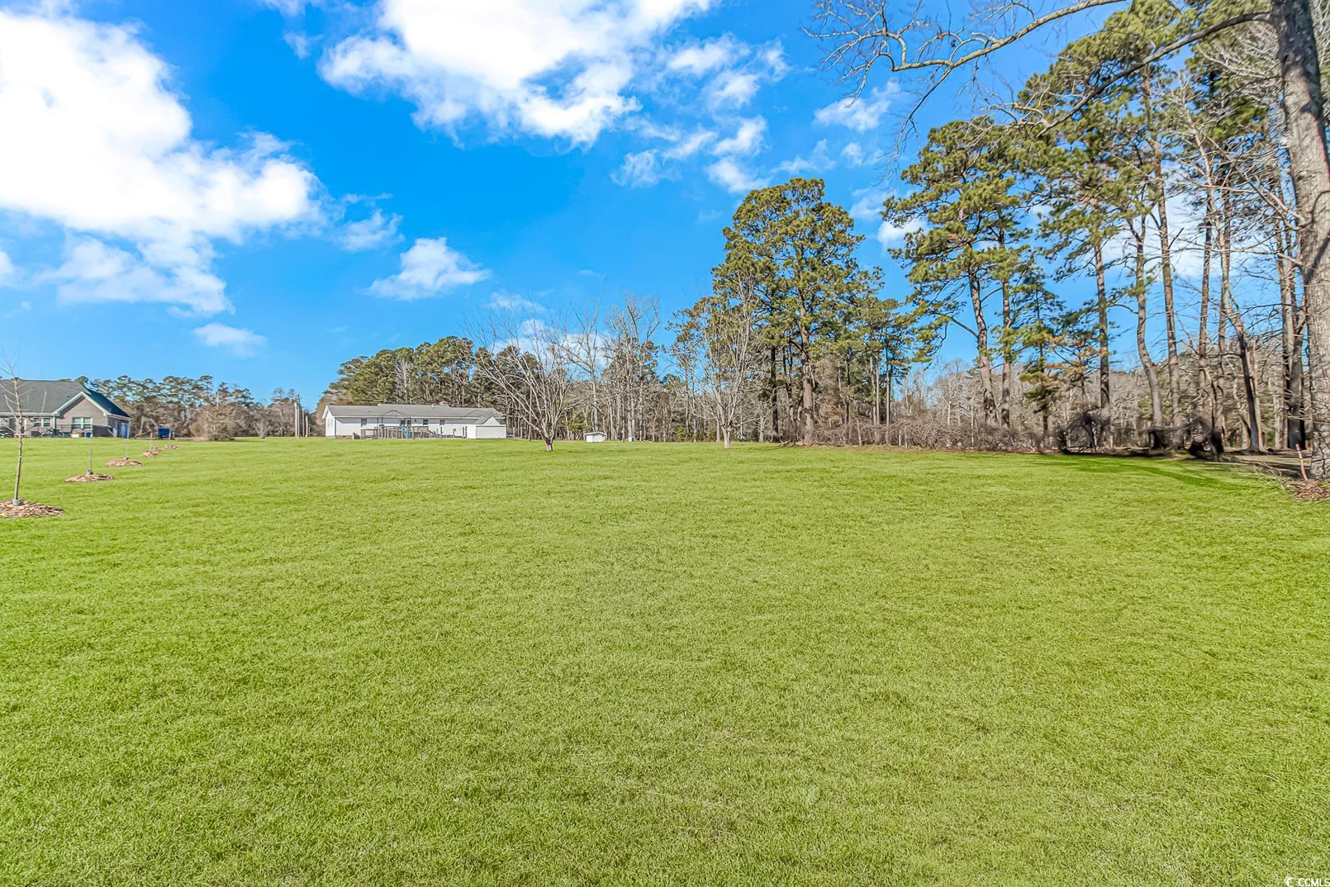 4106 Edwards Road Aynor, SC 29511 - Photo 29 of 39 View of yard