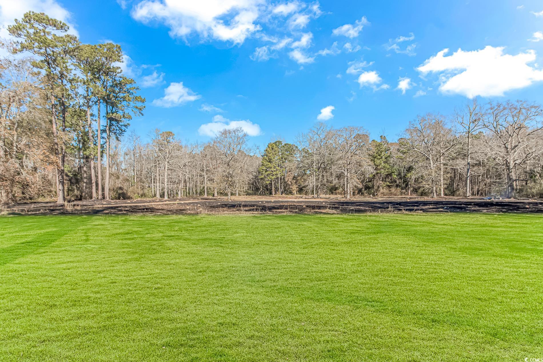 4106 Edwards Road Aynor, SC 29511 - Photo 31 of 39 View of yard