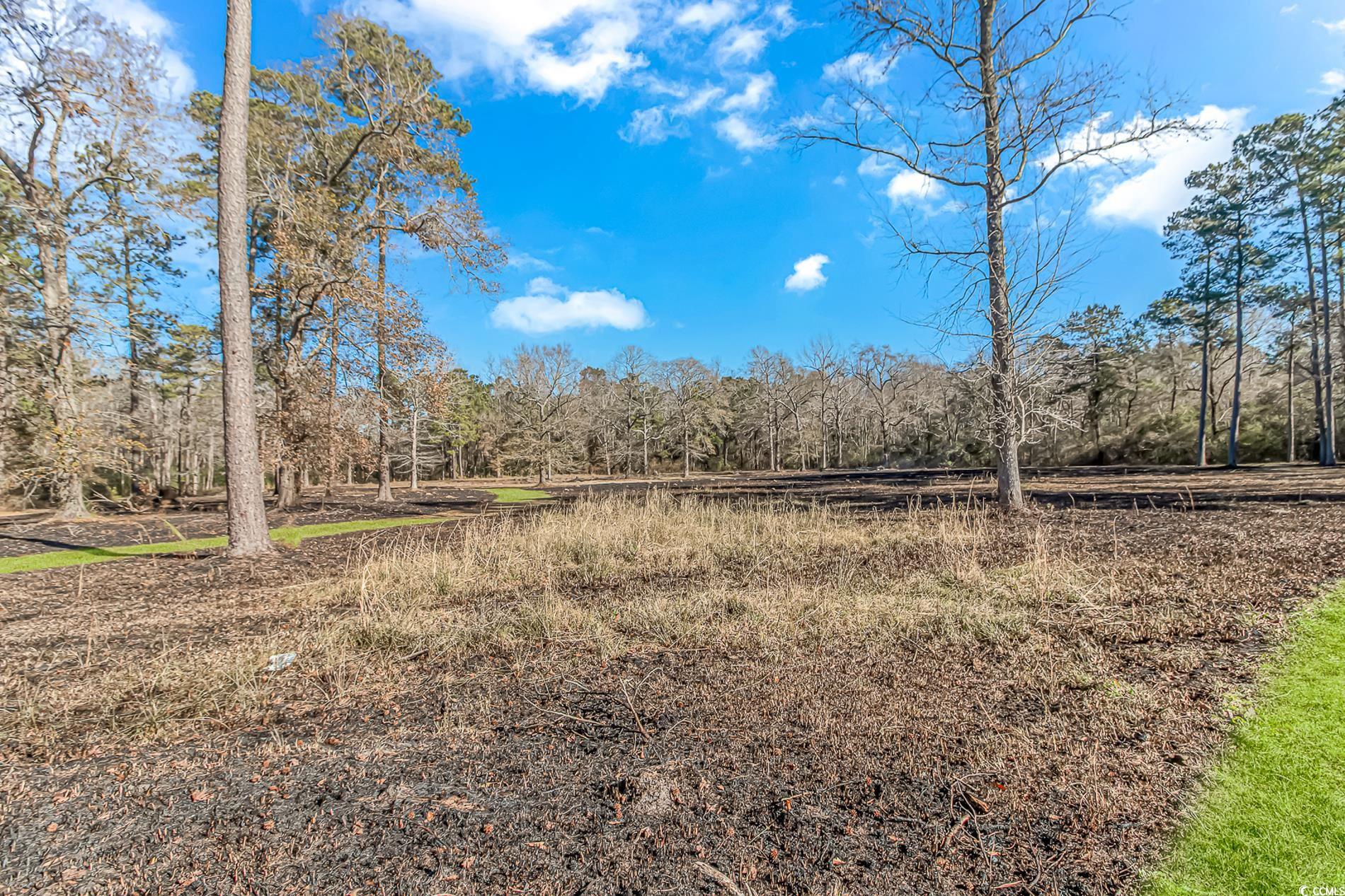 4106 Edwards Road Aynor, SC 29511 - Photo 33 of 39 View of landscape