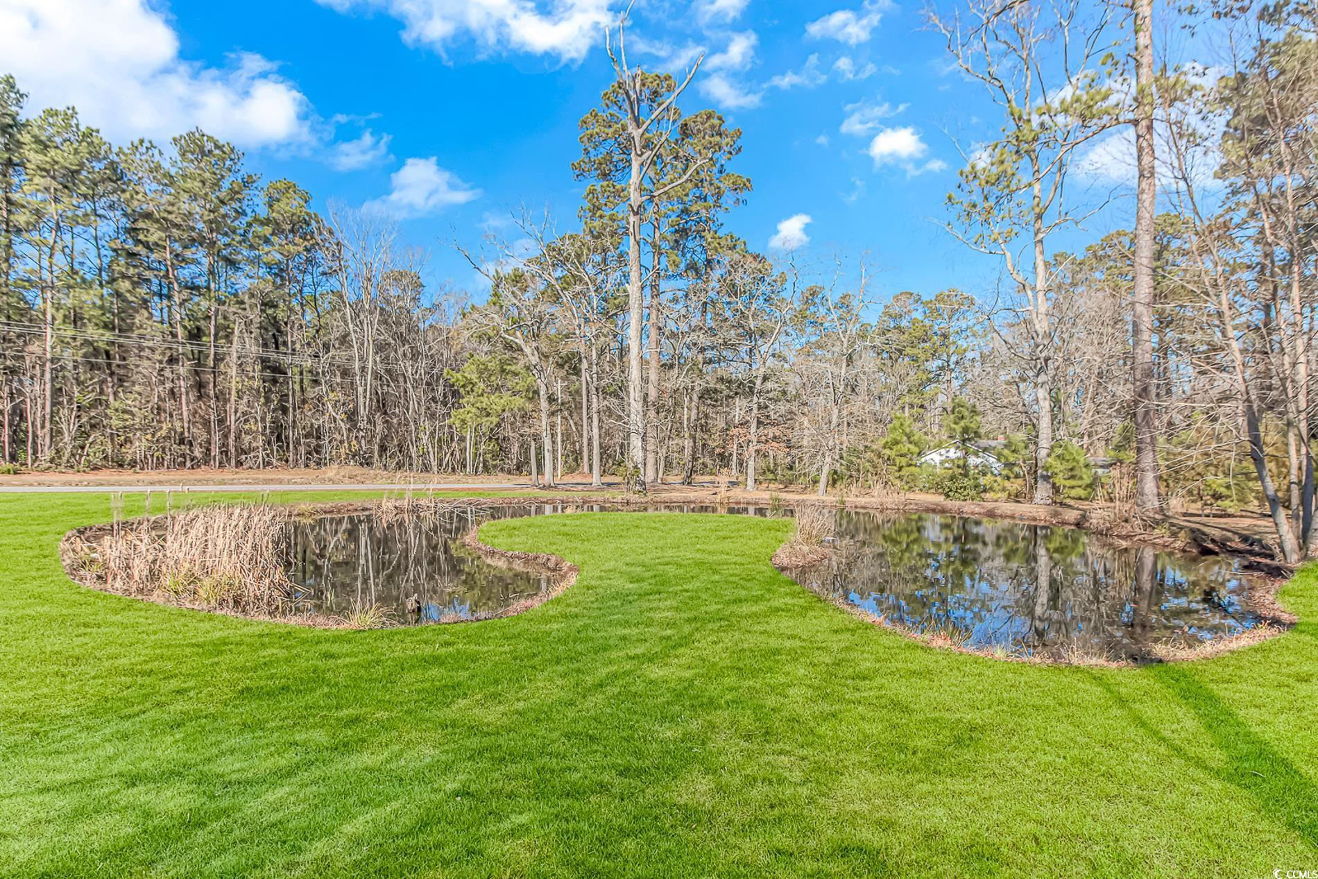 4106 Edwards Road Aynor, SC 29511 - Photo 35 of 39 View of yard featuring a water view