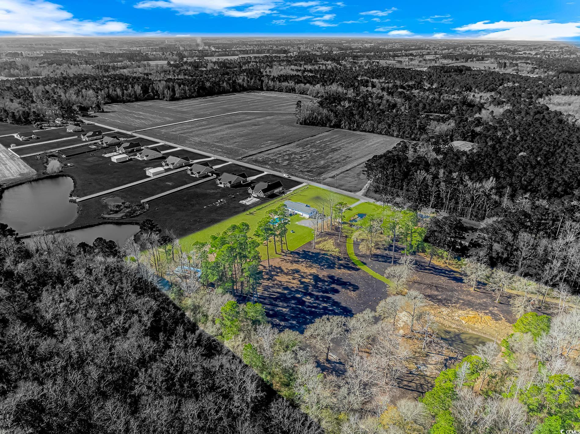 4106 Edwards Road Aynor, SC 29511 - Photo 39 of 39 Aerial view