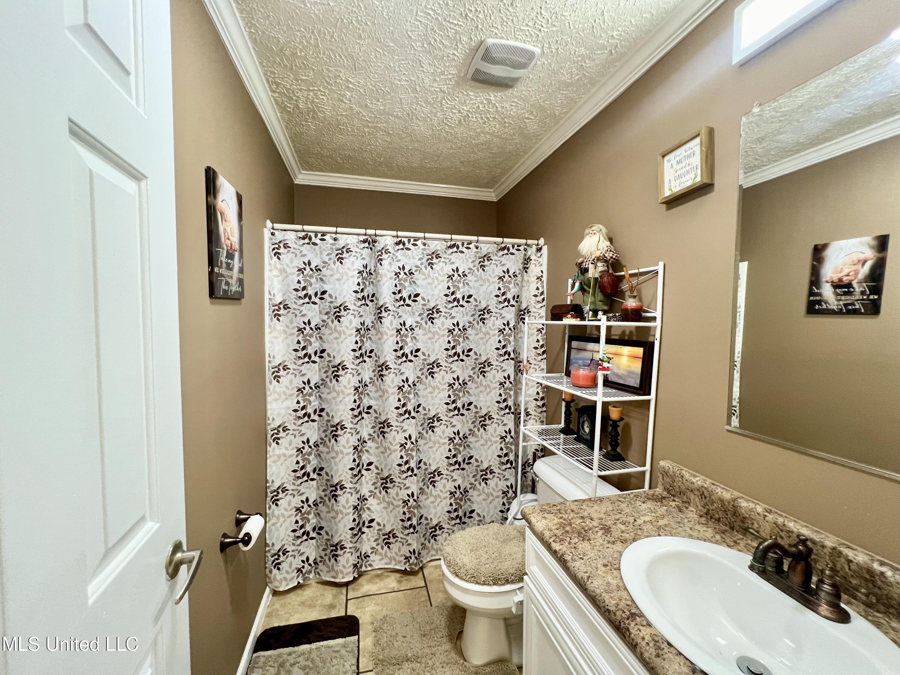 723 Wildcat Bottom Road Red Banks, MS 38661 - Photo 24 of 36 Bathroom 2