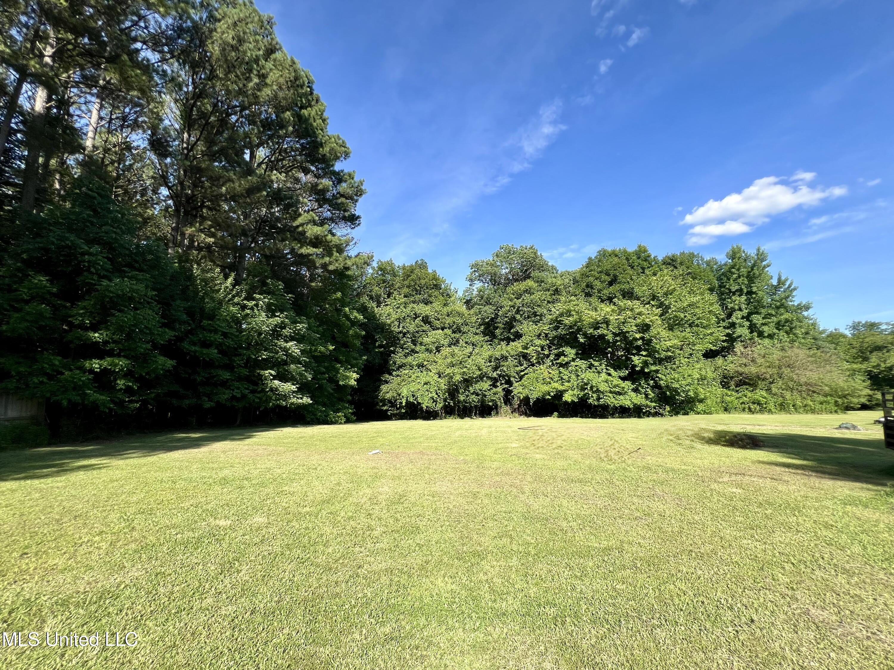723 Wildcat Bottom Road Red Banks, MS 38661 - Photo 33 of 36 Lot 3
