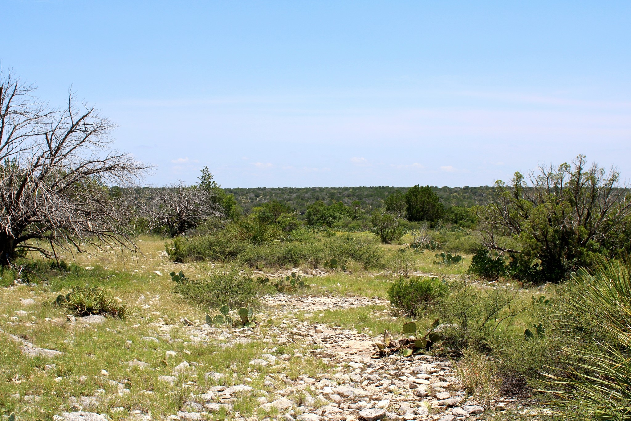 2519 Widmark Road Comstock, TX 78837 - Photo 27 of 48