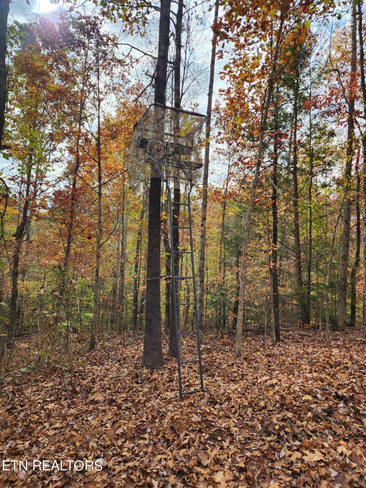 4827 Stump Road Maryville, TN 37803 - Photo 16 of 22 Gallery Image 16