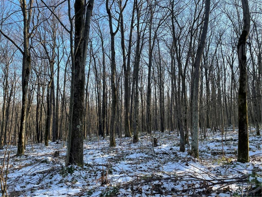 0 Ulery Road Acme, PA 15610 - Photo 8 of 13