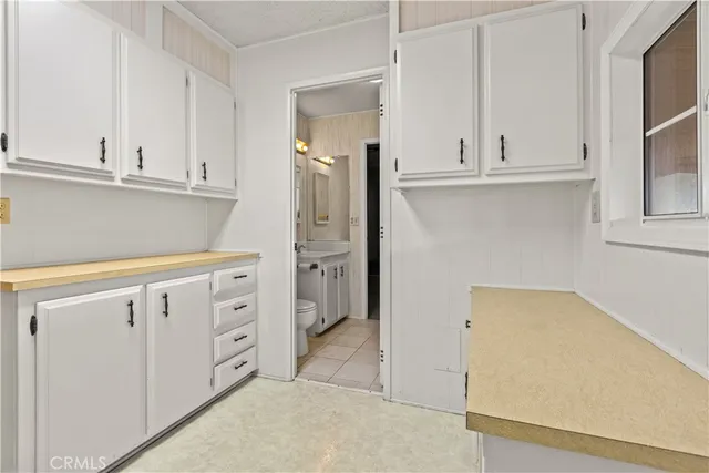 a plant is in front of a house