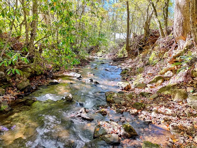 a view of a area with a yard