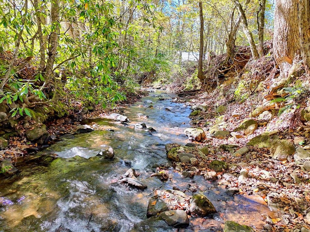 1064 Muskrat Creek Road Hayesville, NC 28904 - Photo 2 of 67