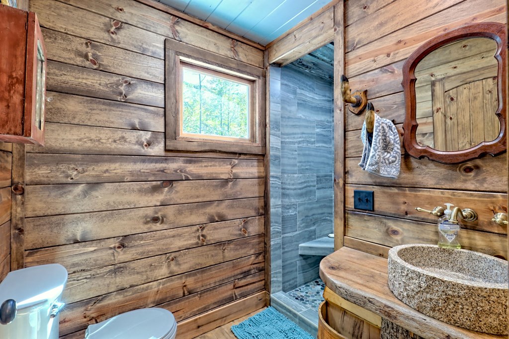 1064 Muskrat Creek Road Hayesville, NC 28904 - Photo 21 of 67 a bathroom with a toilet a sink and mirror