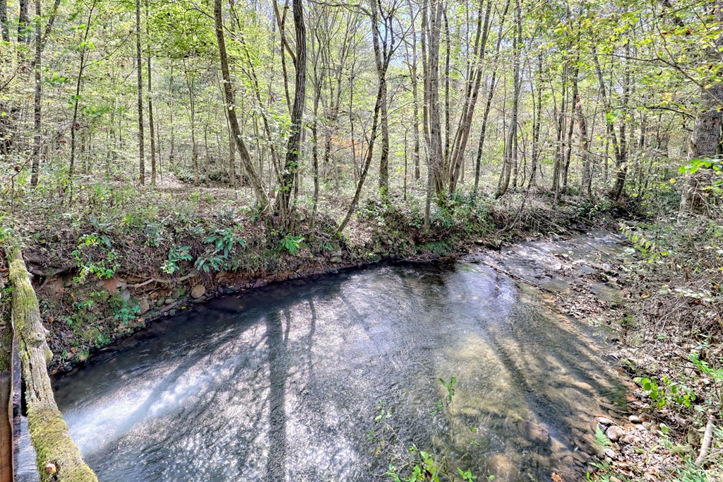 1064 Muskrat Creek Road Hayesville, NC 28904 - Photo 4 of 67 a view of a garden with flowers