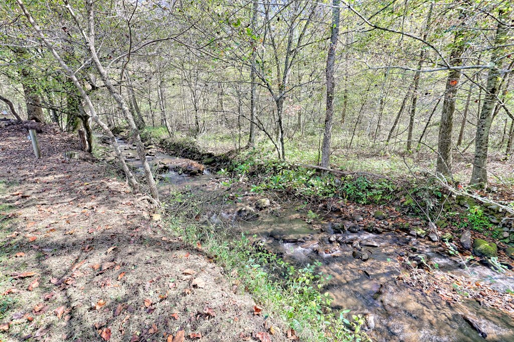 1064 Muskrat Creek Road Hayesville, NC 28904 - Photo 44 of 67 a view of forest