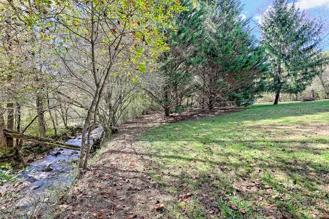 a view of yard with trees