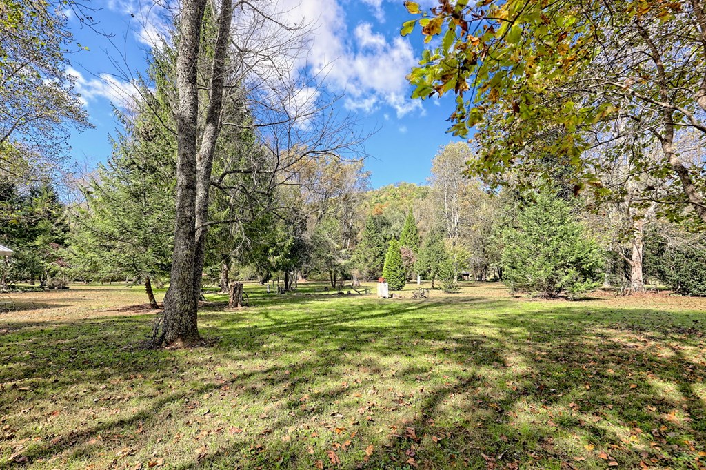 1064 Muskrat Creek Road Hayesville, NC 28904 - Photo 48 of 67 a view of outdoor space with trees all around