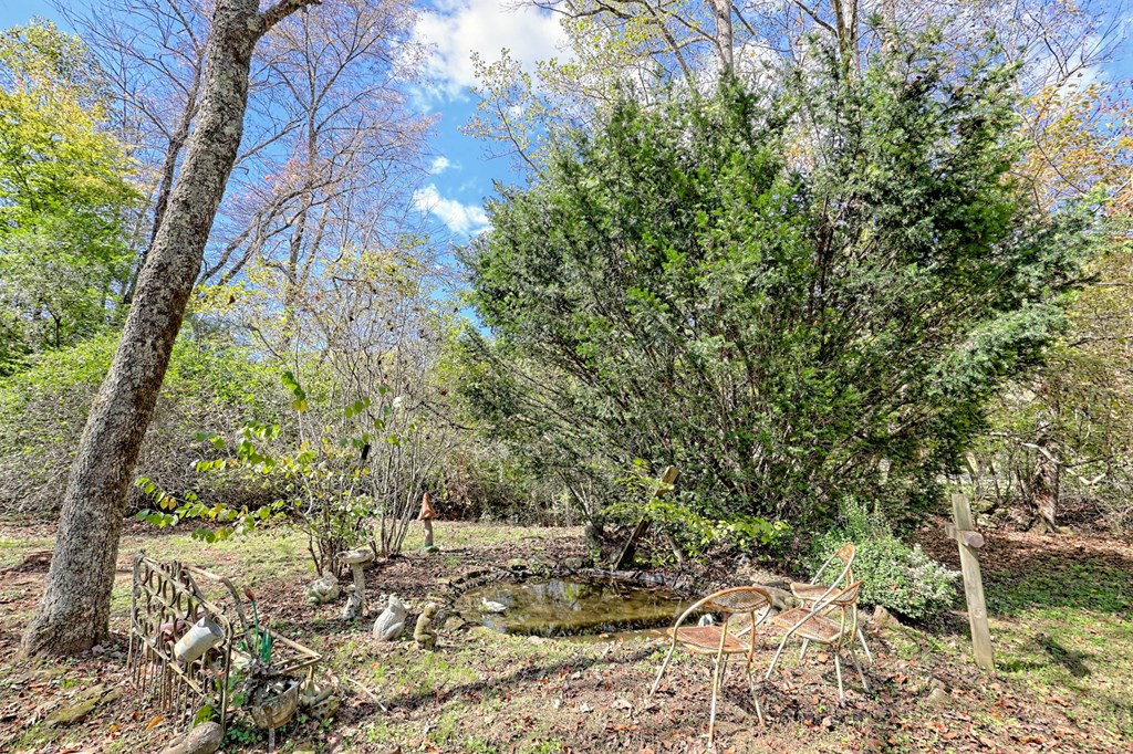 1064 Muskrat Creek Road Hayesville, NC 28904 - Photo 52 of 67 a yard with a tree