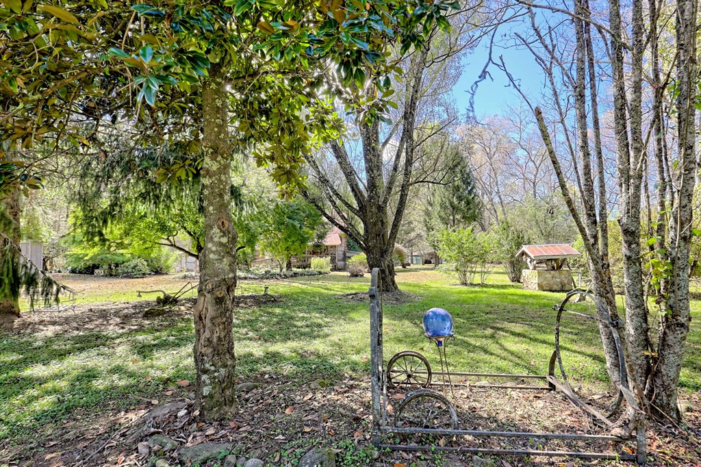 1064 Muskrat Creek Road Hayesville, NC 28904 - Photo 54 of 67