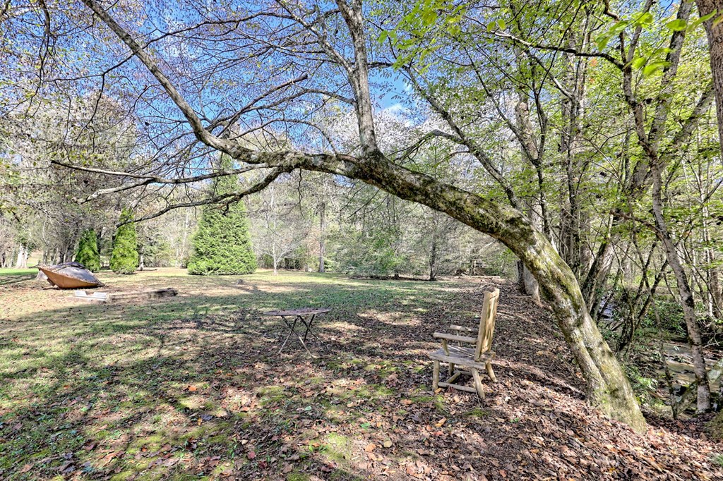 1064 Muskrat Creek Road Hayesville, NC 28904 - Photo 56 of 67 a view of yard with trees