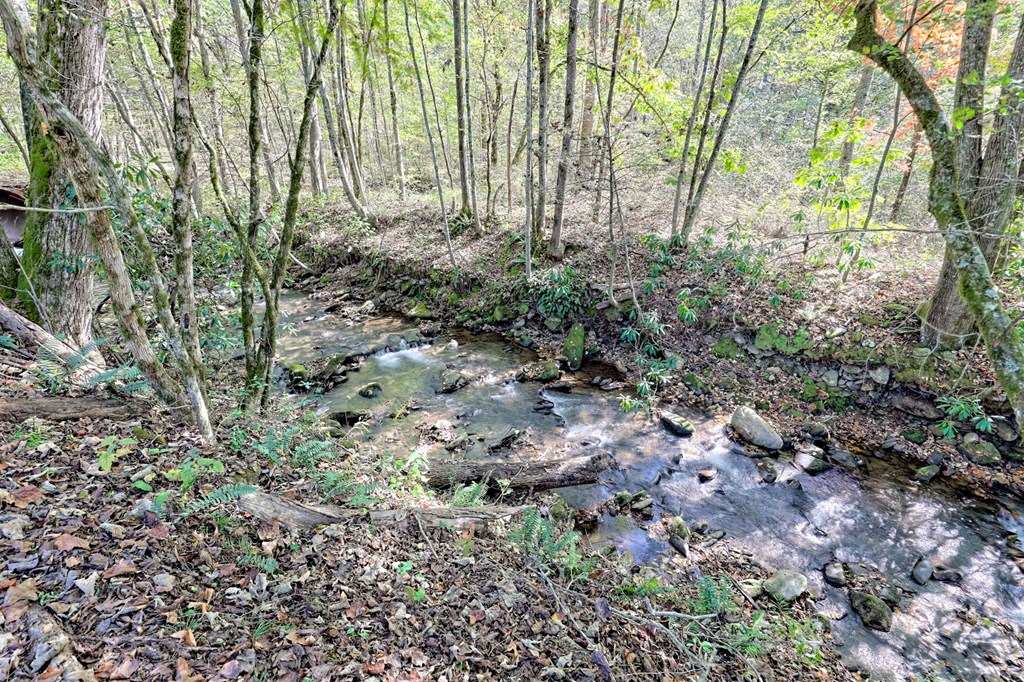 1064 Muskrat Creek Road Hayesville, NC 28904 - Photo 57 of 67 a view of a garden with plants and a bench