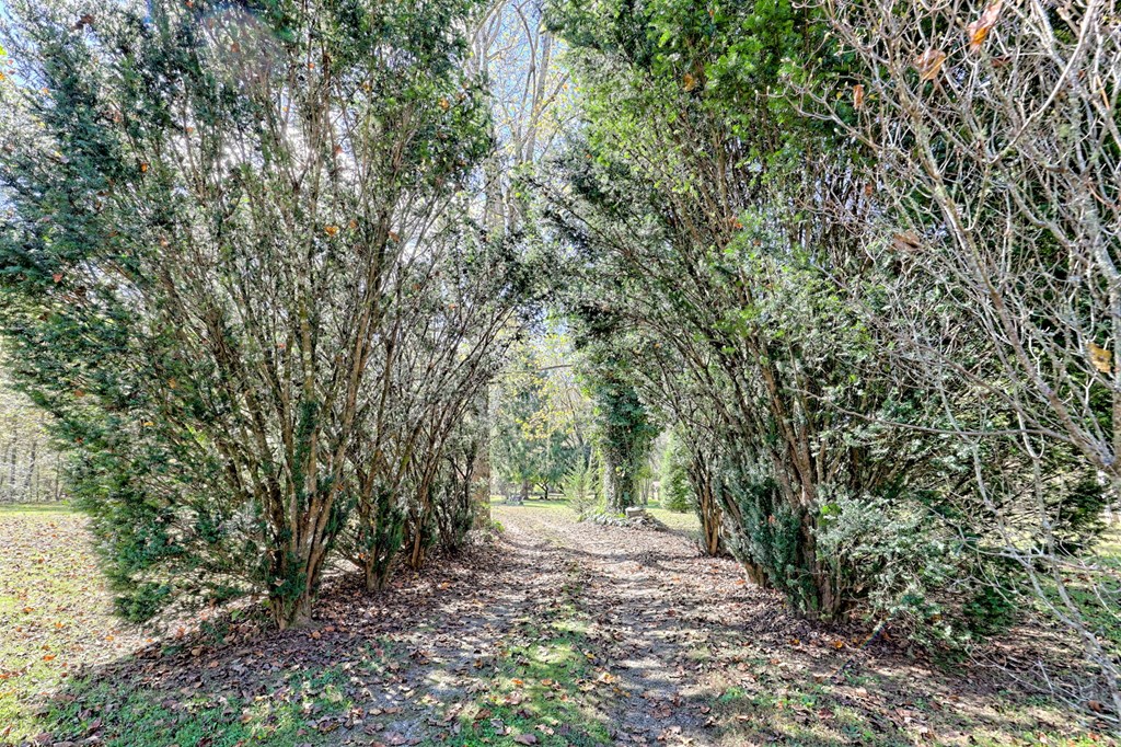 1064 Muskrat Creek Road Hayesville, NC 28904 - Photo 59 of 67