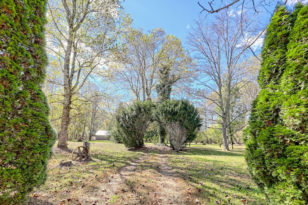 1064 Muskrat Creek Road Hayesville, NC 28904 - Photo 60 of 67