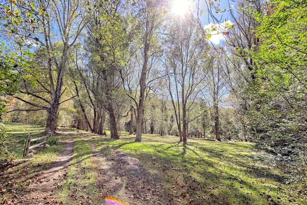 1064 Muskrat Creek Road Hayesville, NC 28904 - Photo 63 of 67