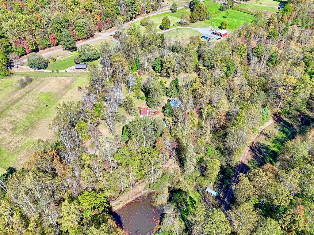 1064 Muskrat Creek Road Hayesville, NC 28904 - Photo 65 of 67 a picture of flowers