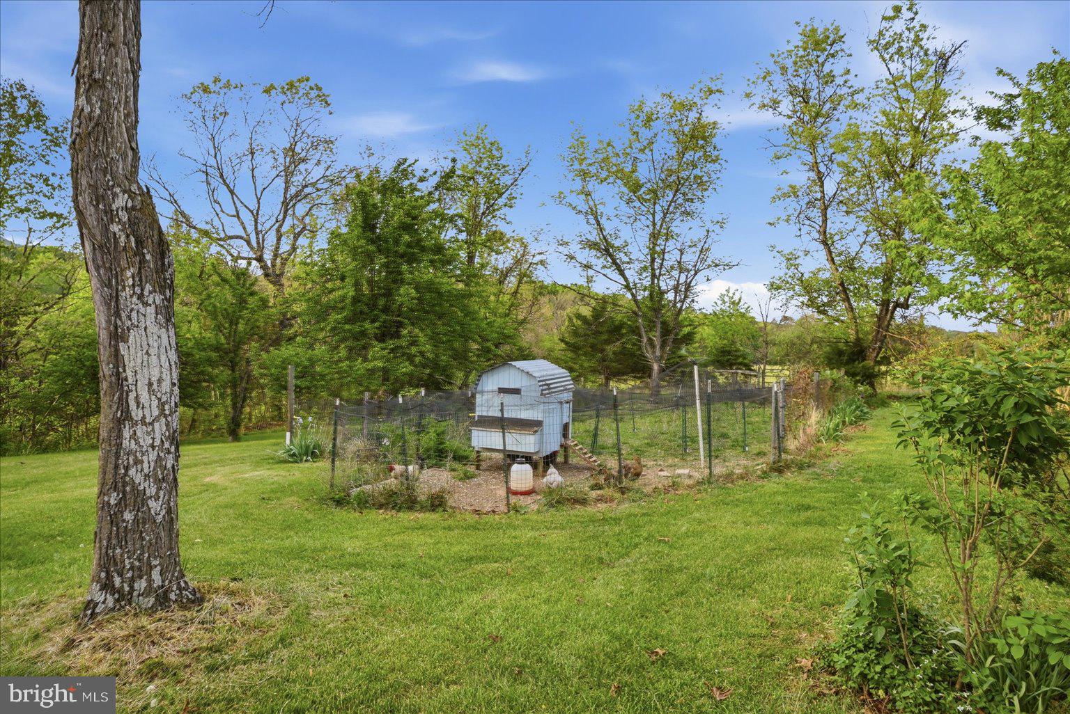 165 Wilson Burke Road Front Royal, VA 22630 - Photo 105 of 134 a backyard of a house with lots of green space