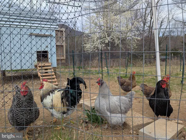 $960,000 | 165 Wilson Burke Road, Front Royal, VA 22630